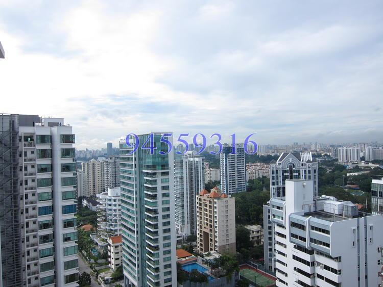 The Seafront On Meyer (D15), Condominium #118832452
